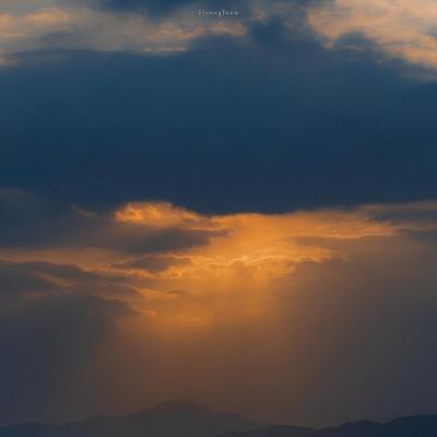 狗万manbet手机app下载