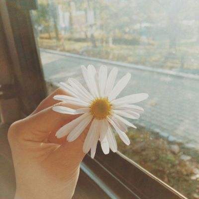 九游J9真人游戏第一品牌