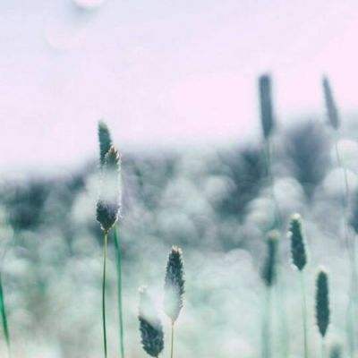 北单足球官网首页